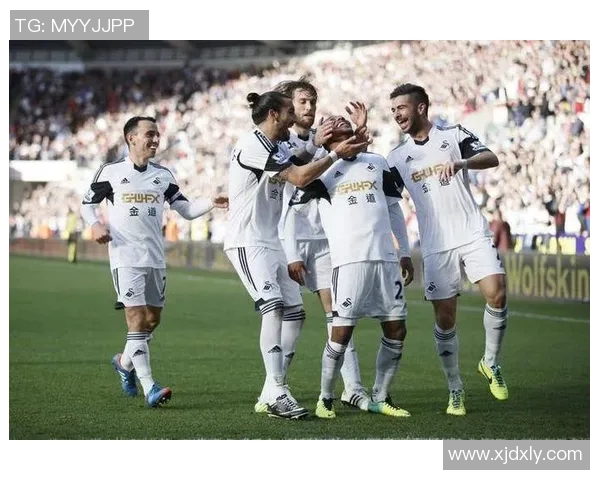 113斯旺西主场迎战伯明翰全力争胜争夺关键三分之战